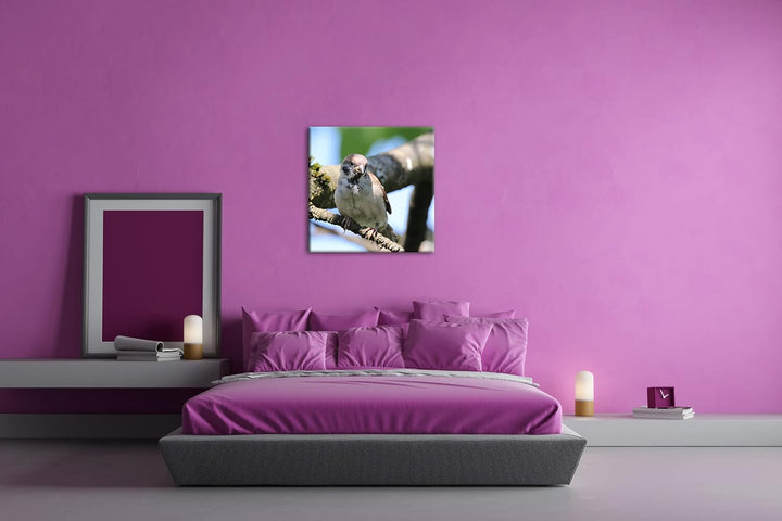 deyoli neugieriger Vogel Format: 70x70 als Leinwandbild, Motiv fertig gerahmt auf Echtholzrahmen, Ho