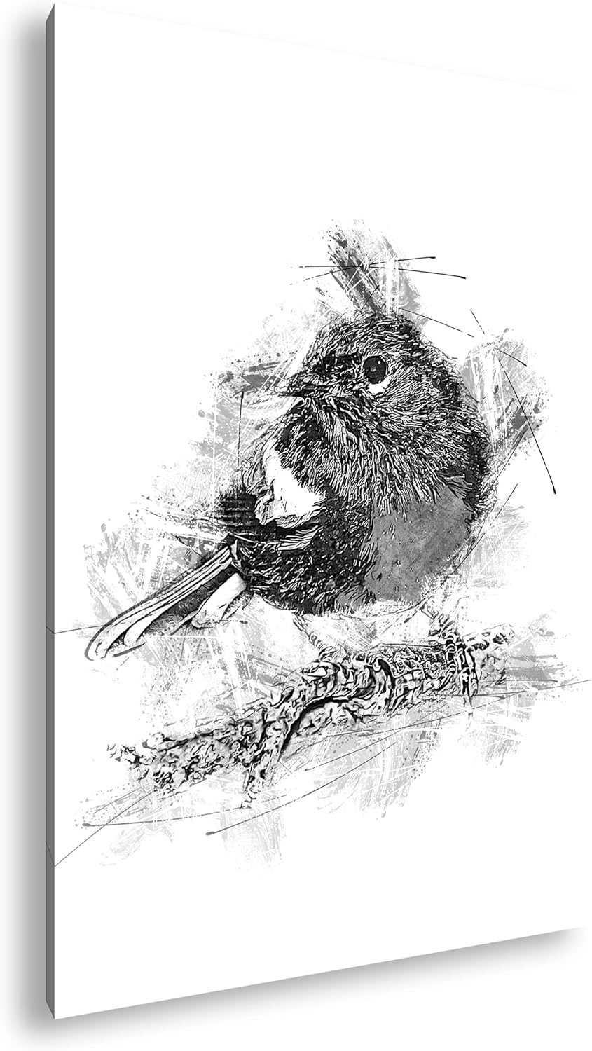 deyoli Robin Rotkehlchen Format: 80x60 Effekt: Schwarz&Weiss als Leinwandbild, Motiv fertig gerahmt