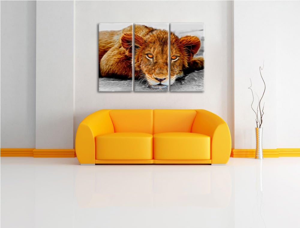 schläfriger junger Löwe schwarz/weiss Deluxe 3-Teiler Leinwandbild 120x80 Bild auf Leinwand, XXL rie