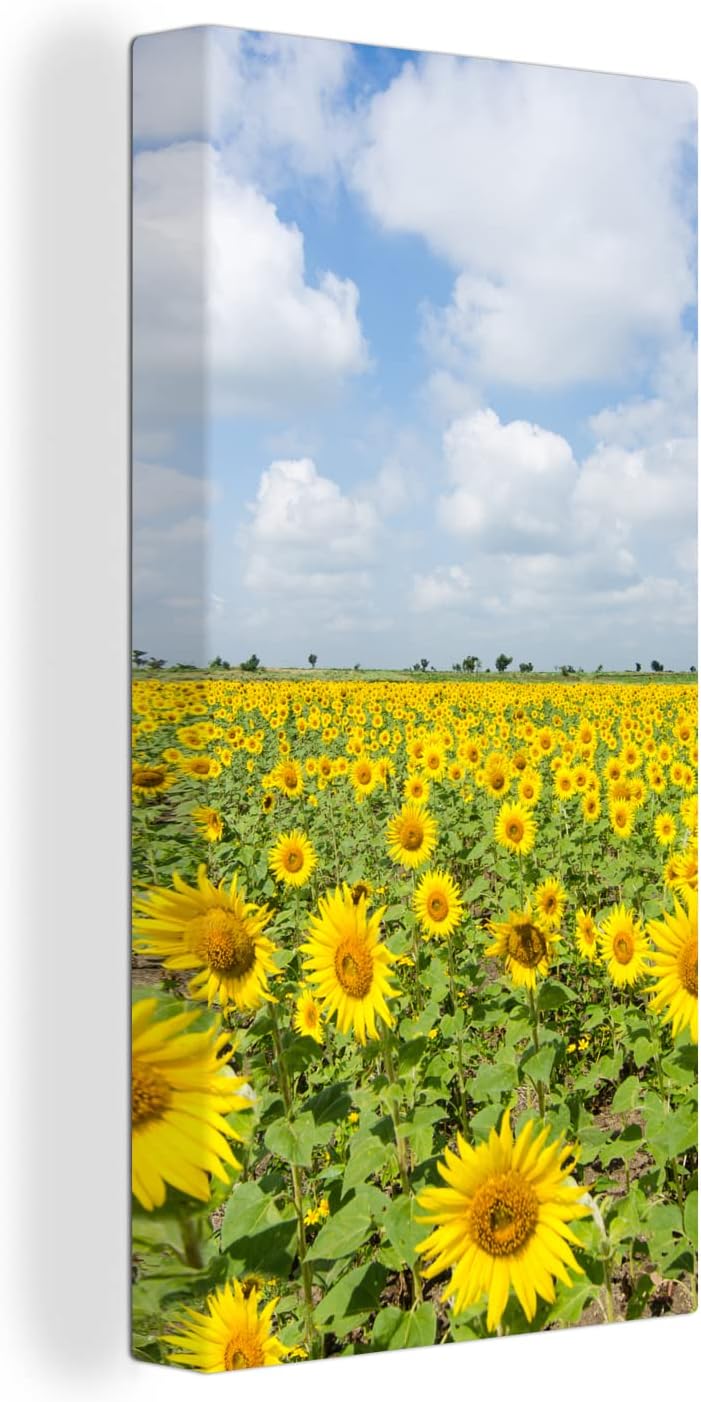 MuchoWow Leinwand Bilder, Einzigartige Wanddeko mit Rahmen, Sonnenblumen - Blumen - Wolken - Natur -