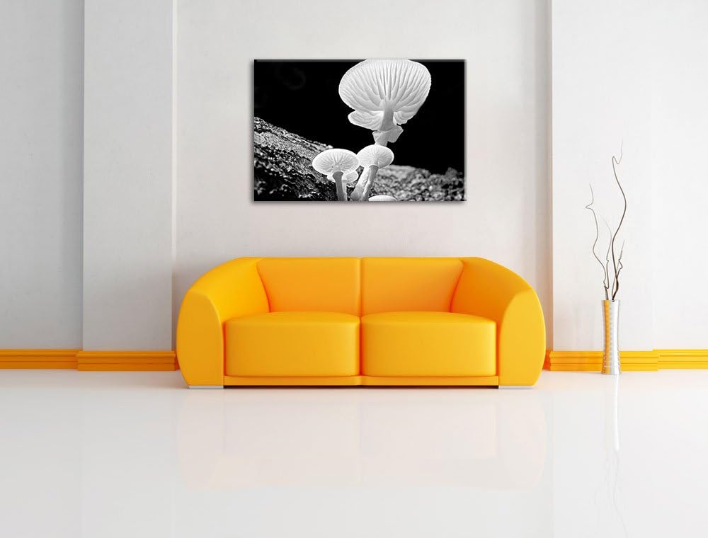 Pixxprint Dark weisse Pilzeauf Leinwand, XXL riesige Bilder fertig gerahmt mit Keilrahmen, Kunstdruc