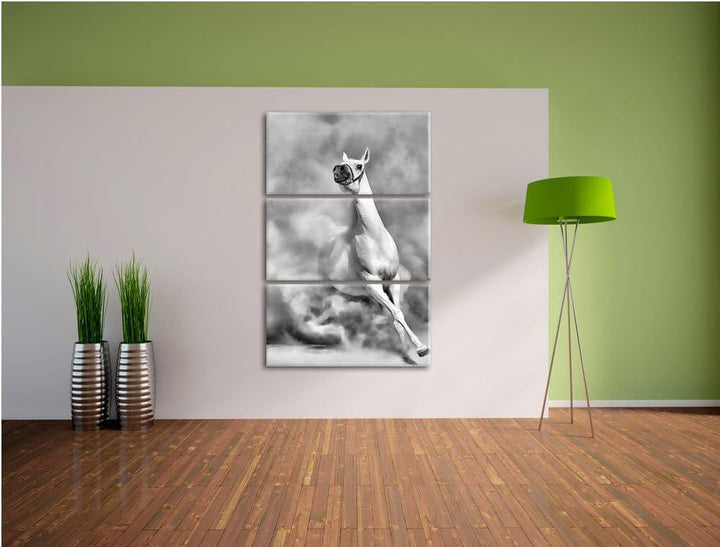 Pixxprint Weisses Pferd in der Wüste als Leinwandbild/Grösse: 3 Teilig (120x80) cm/Wandbild/Kunstdru