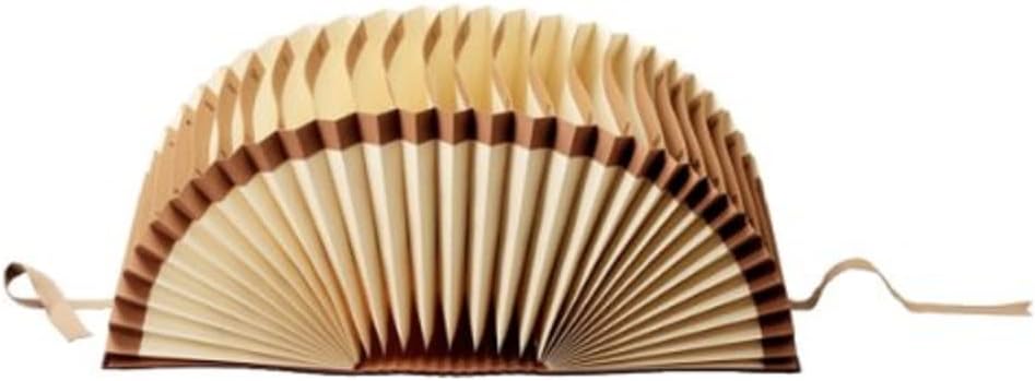 Leitz 56310000 Schriftenordner 1-31, 31 Fächer, Graupappe, braun