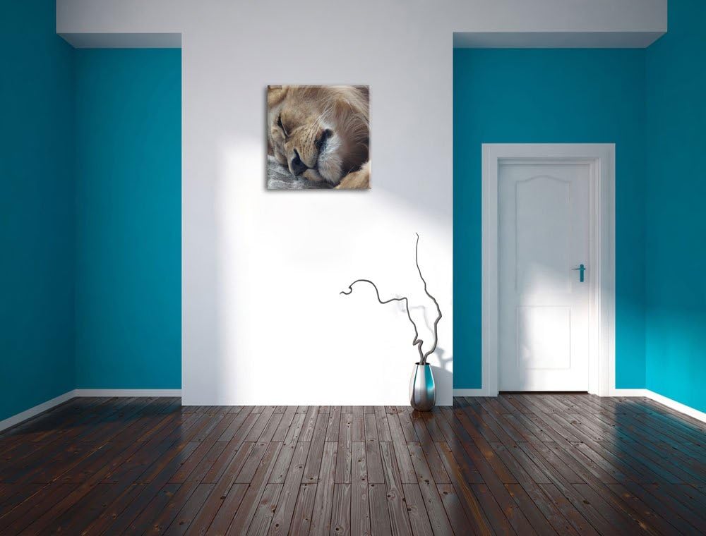 schlafender Löwe, Format: 70x70 auf Leinwand, XXL riesige Bilder fertig gerahmt mit Keilrahmen, Kuns