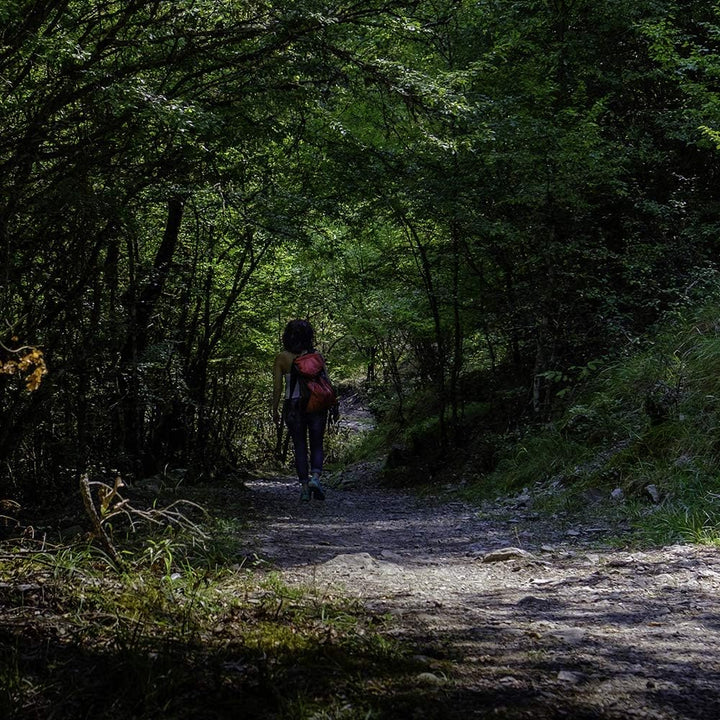 Feeby Wanddeko XXL Landschaft Leinwandbild 5 Teilig Natur Weg Bäume Wald grün 100x70 cm Leinwandbild