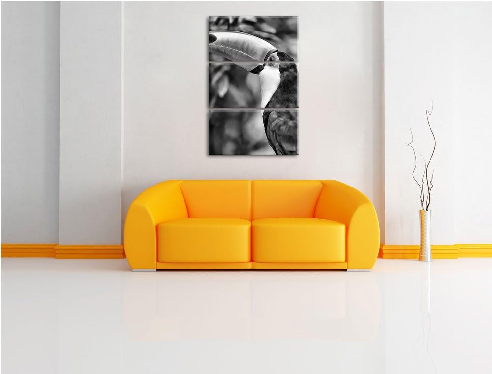 Pixxprint Bunter Tukan als Leinwandbild/Grösse: 3 Teilig (120x80) cm/Wandbild/Kunstdruck/fertig besp