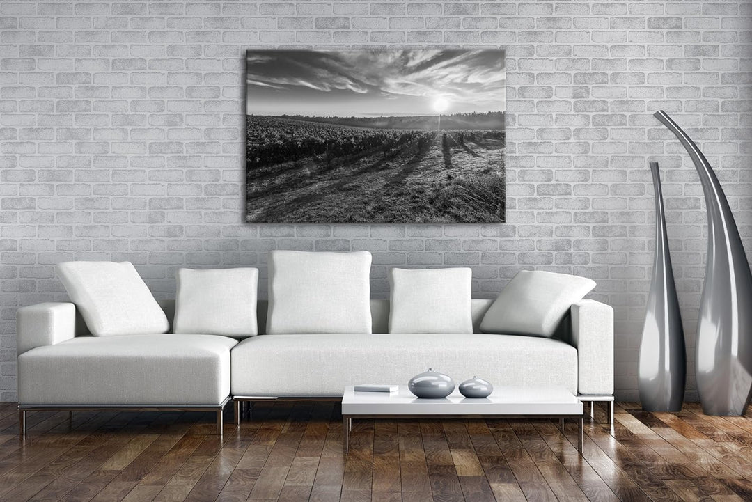 Traubenfeld in der Toskana Effekt: Schwarz/Weiss Format: 60x40 als Leinwandbild, Motiv fertig gerahm
