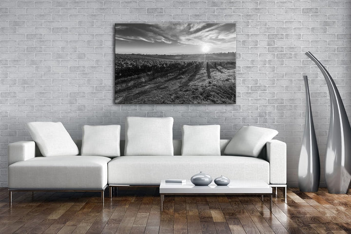 Traubenfeld in der Toskana Effekt: Schwarz/Weiss Format: 60x40 als Leinwandbild, Motiv fertig gerahm
