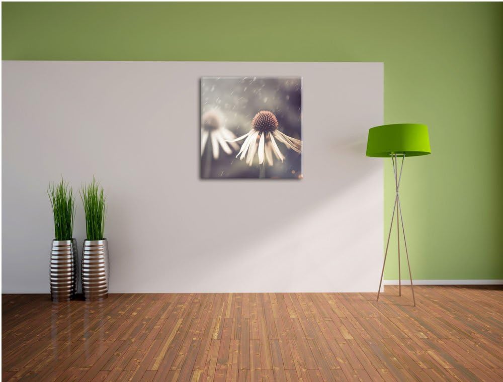 Pixxprint Blumen im Regen als Leinwandbild/Grösse: 70x70 cm/Wandbild/Kunstdruck/fertig bespannt, 70x
