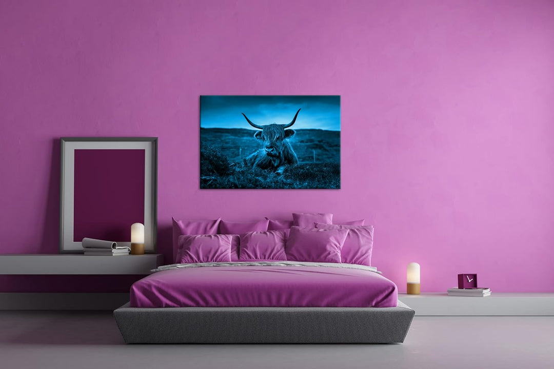 deyoli pelziges Rind auf schottischer Landschaft Format 80x60 Effekt: Monocrome Blau als Leinwandbil