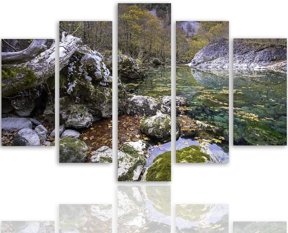 Bilder Modern Landschaft 5 Teilig Design Art Fluss Wald Steine bunt 100x70 cm Deco panel 100x70 cm H