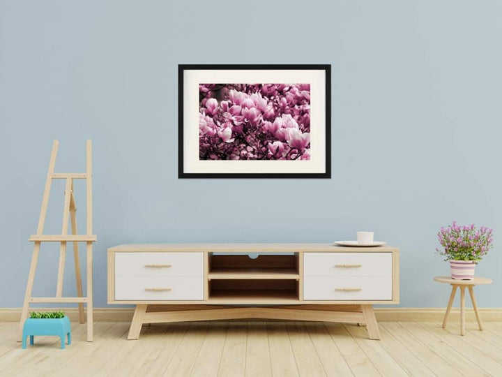 1art1 Blumen Poster Blühende Magnolien Gerahmtes Bild Mit Edlem Passepartout | Wand-Bilder | Im Bild