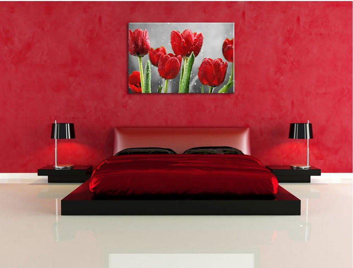Pixxprint Rote Tulpen mit Tropfen bedeckt als Leinwandbild/Grösse: 100x70 cm/Wandbild/Kunstdruck/fer