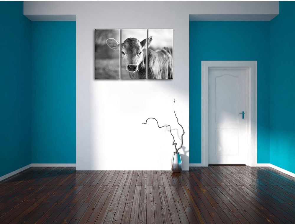 Pixxprint Junge Kuh Kälbchen Kunst B&W als Leinwandbild/Grösse: 3 Teilig (120x80) cm/Wandbild/Kunstd