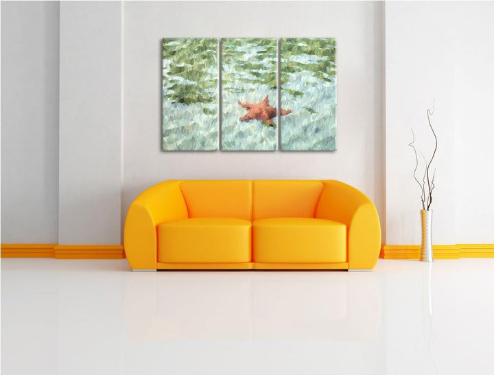 Seestern im klaren Wasser NewArt 3-Teiler Leinwandbild 120x80 Bild auf Leinwand, XXL riesige Bilder