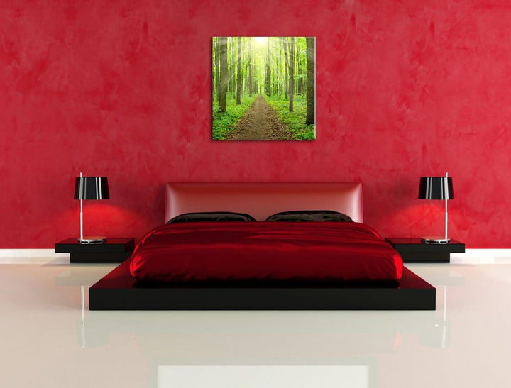 Pixxprint Sonnenlicht bricht in den Wald herein, Format: 70x70 auf Leinwand, 70x70