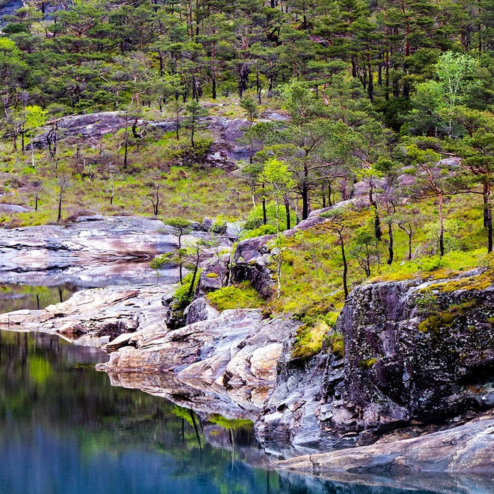 Feeby Bild auf Leinwand Landschaft 5 Teilig Modern Wasser Bäume Natur grün 150x100 cm Leinwandbild 1