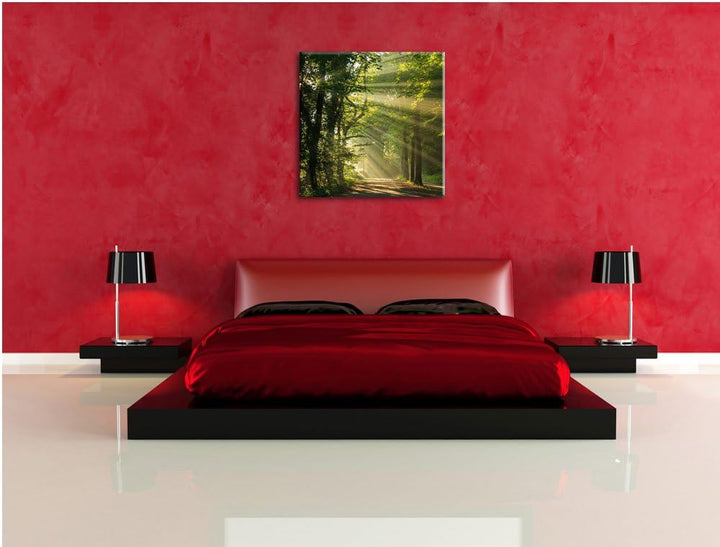 Pixxprint Sonniger Waldweg im Frühling, Format: 70x70 auf Leinwand, 70x70