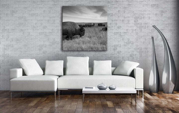 Bison Herde in der Steppe Format: 70x70 Effekt: Schwarz&Weiss als Leinwandbild, Motiv auf Echtholzra