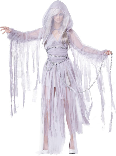 California Costumes 1327 Haunting Beauty Geist Spirit Ghost Kostüm für Erwachsene, Silber, Large, L