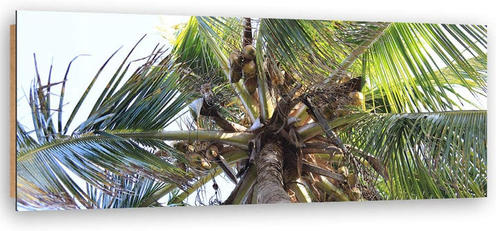 Feeby Deco Panel Kokosnüsse Bild Kunstdruck modern Palme Grün 120x40 cm Deko paneel 120x40 cm Grün_B