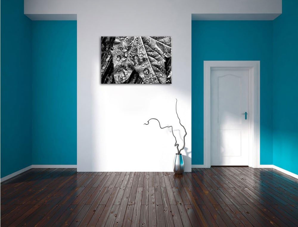 Pixxprint Regentropfen auf Blatt als Leinwandbild/Grösse: 100x70 / Wandbild/Kunstdruck/fertig bespan