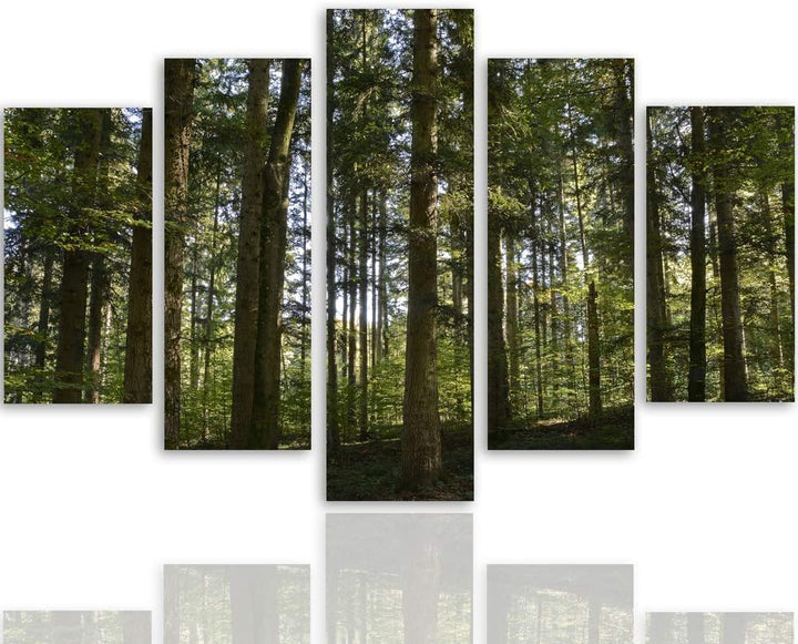 Feeby Leinwandbild Wald 5 TLG Bild Kunstdruck Landschaft Natur Bäume grün 100x70 cm Leinwandbild 100