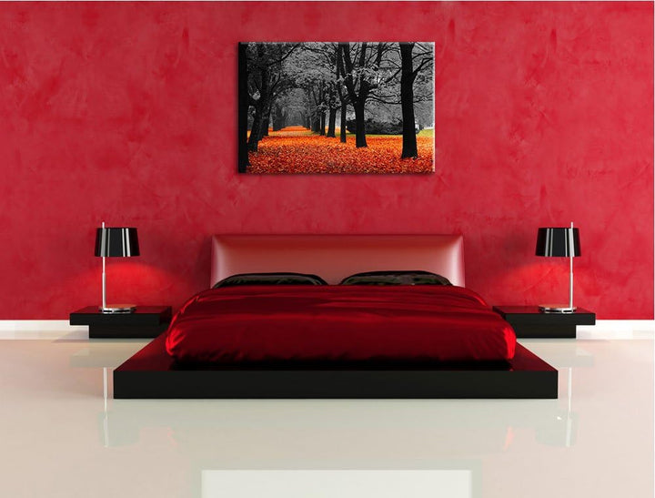 schöner Waldweg im Herbst schwarz/weiss Format: 100x70 auf Leinwand, XXL riesige Bilder fertig gerah