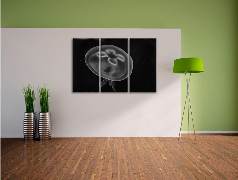 Pixxprint Monocrome, Leuchtend Blaue Qualle 3-Teiler Leinwandbild 120x80 Bild auf Leinwand