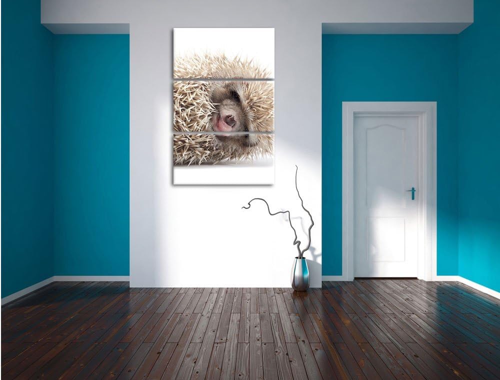 Pixxprint kleines niedliches Igel Baby als Leinwandbild/Grösse: 3 Teilig (120x80) cm/Wandbild/Kunstd