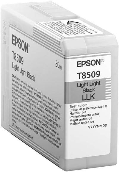 Epson C13T850900 Singlepack Light, schwarz light light schwarz Standardverpackung, light light schwa