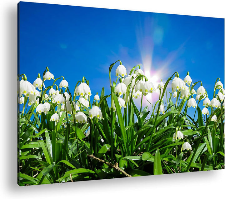 deyoli zauberhafte Schneeglöckchen Format: 100x70 als Leinwand, Motiv fertig gerahmt auf Echtholzrah