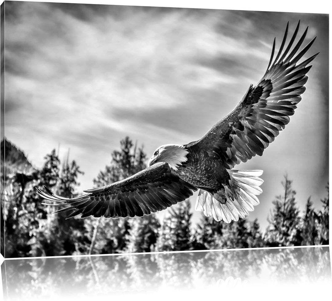 Monocrome, Adler, Format: 100x70 auf Leinwand, XXL riesige Bilder fertig gerahmt mit Keilrahmen, Kun