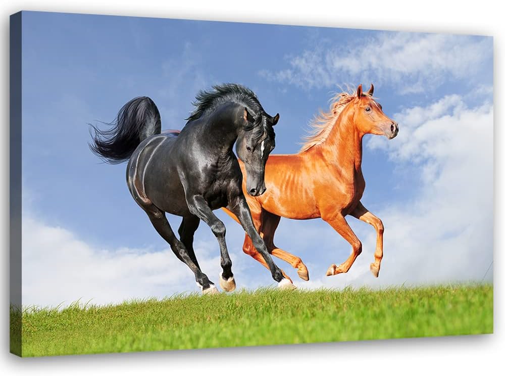 Feeby Vlies Leinwandbild Pferde Frei Laufen Wiese 90x60 cm Druckbild Wandbild Wanddekoration Deko Wa