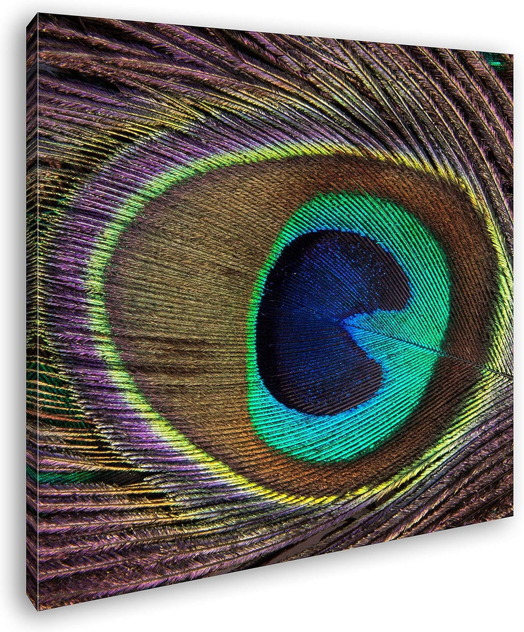 deyoli Bezaubernde Pfauenfeder mit Muster im Format: 70x70 als Leinwandbild, Motiv fertig gerahmt au