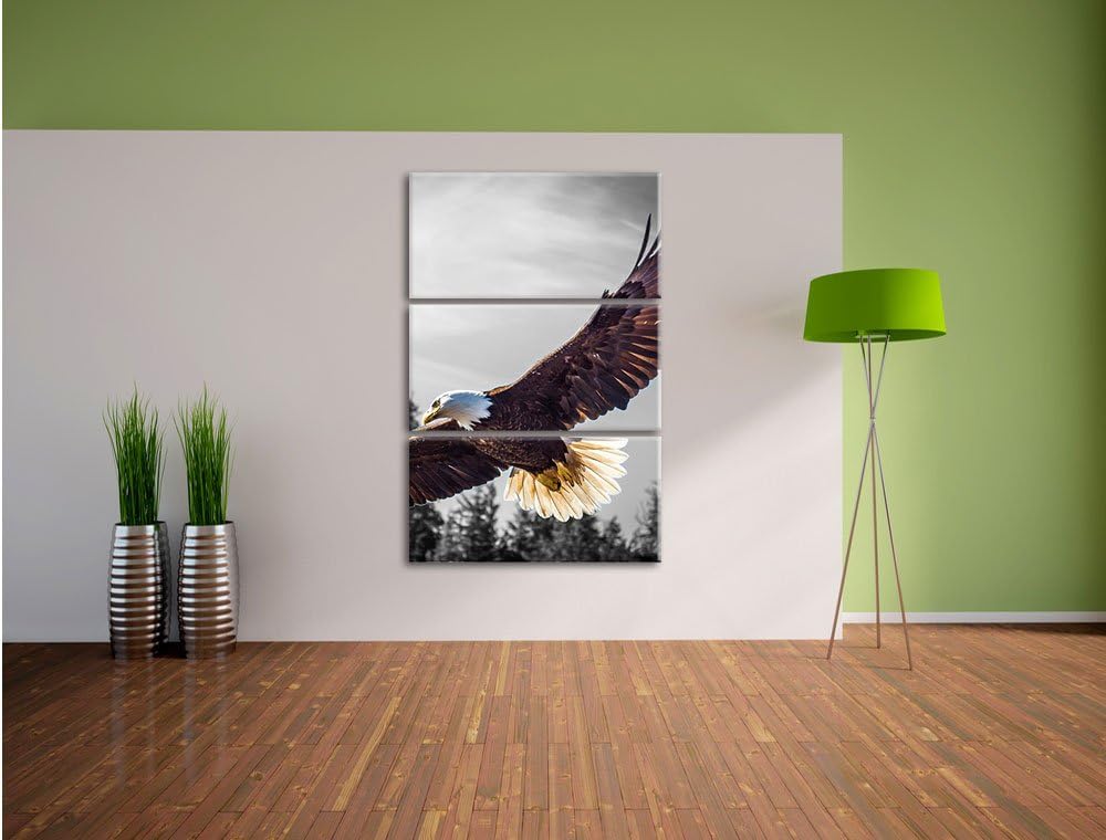 Pixxprint grosser Fliegender Adler schwarz/weiss als Leinwandbild | Grösse: 3 Teilig (120x80) | Wand