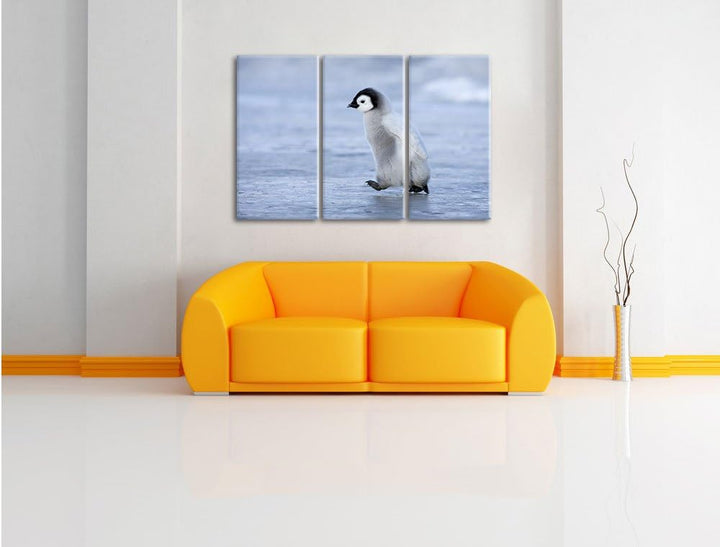 Pixxprint Niedliches Kaiserpinguinkücken als Leinwandbild/Grösse: 3 Teilig (120x80) cm/Wandbild/Kuns