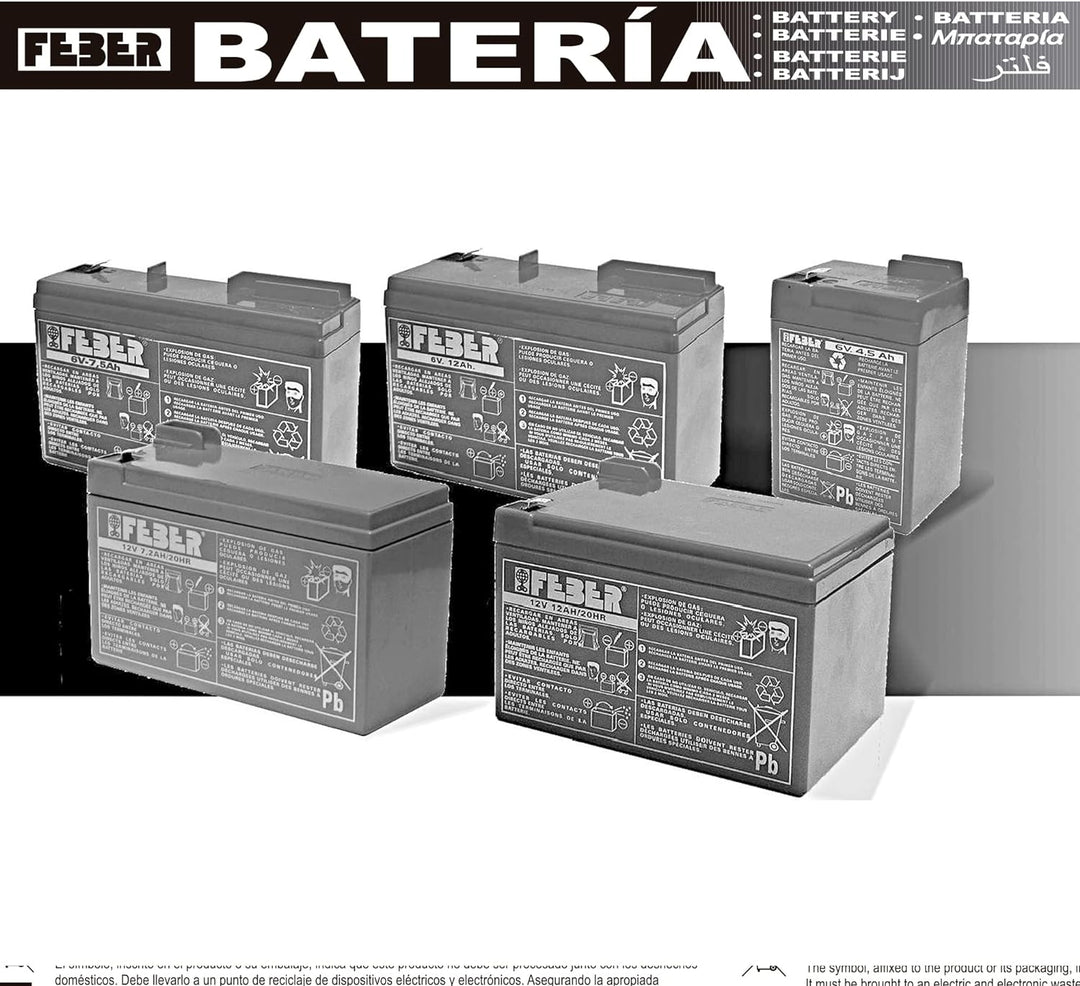 FEBER 800004279 Batterie, Gross