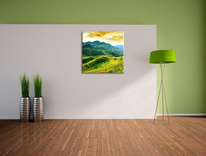 Reisfelder in Vietnam, Format: 70x70 auf Leinwand, XXL riesige Bilder fertig gerahmt mit Keilrahmen,
