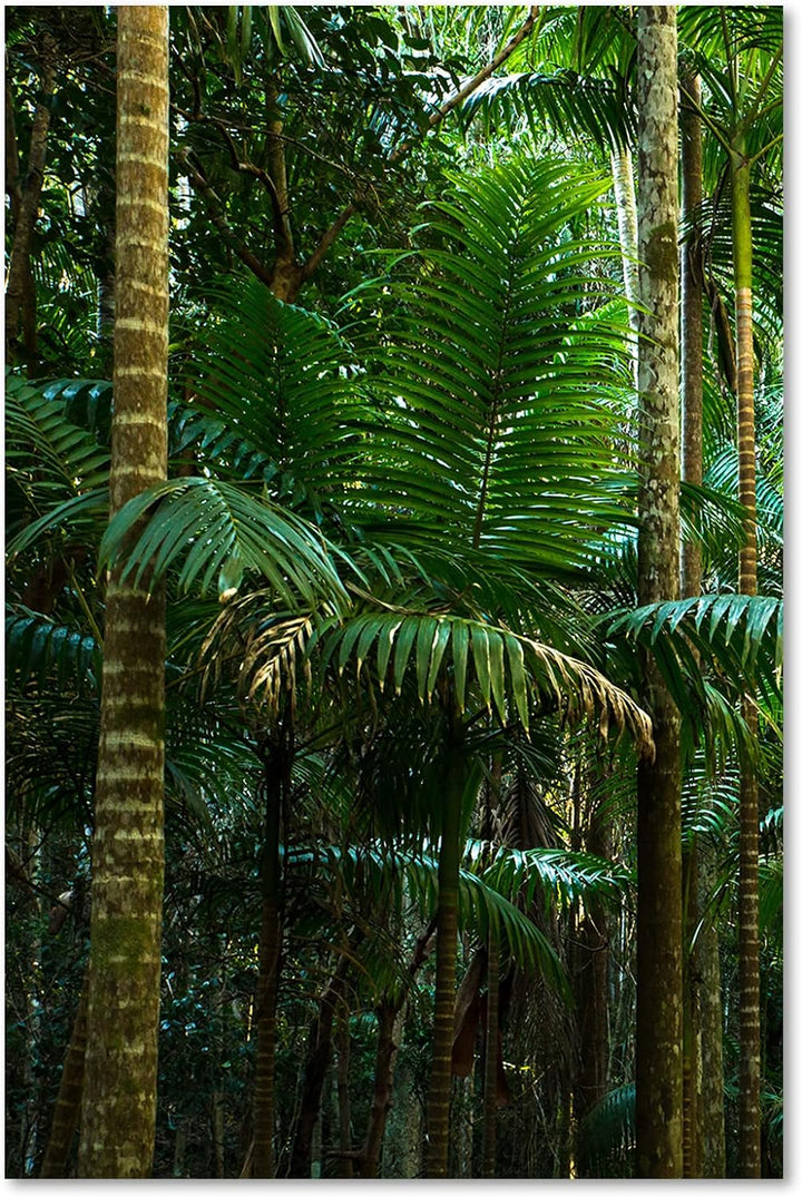 Feeby Vlies Leinwandbild Tropen Dschungel Palmen Exotik 60x90 cm Druckbild Wandbild Wanddekoration D