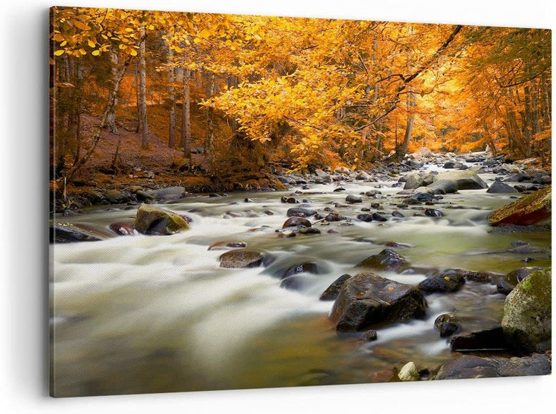 Bilder auf Leinwand 100x70cm Leinwandbild Stream Herbst Forrest Berg Gross Wanddeko Bild Schlafzimme