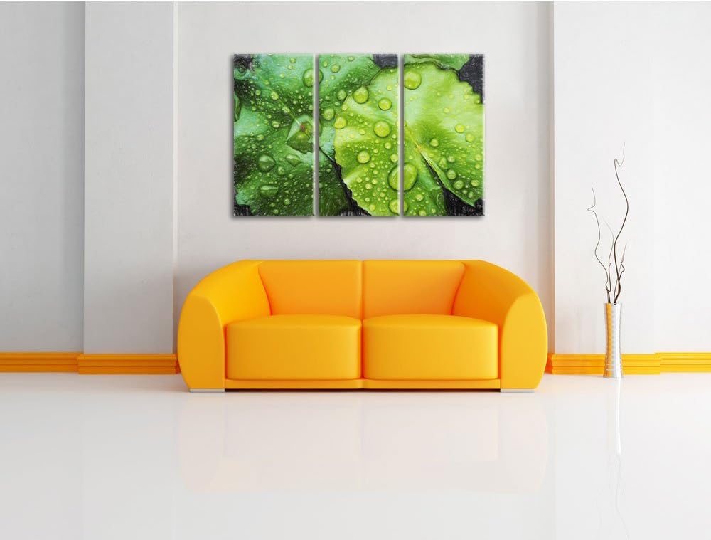 Pixxprint die Blätter mit den Wassertropfen Kunst Buntstift Effekt 3-Teiler Leinwandbild 120x80 Bild