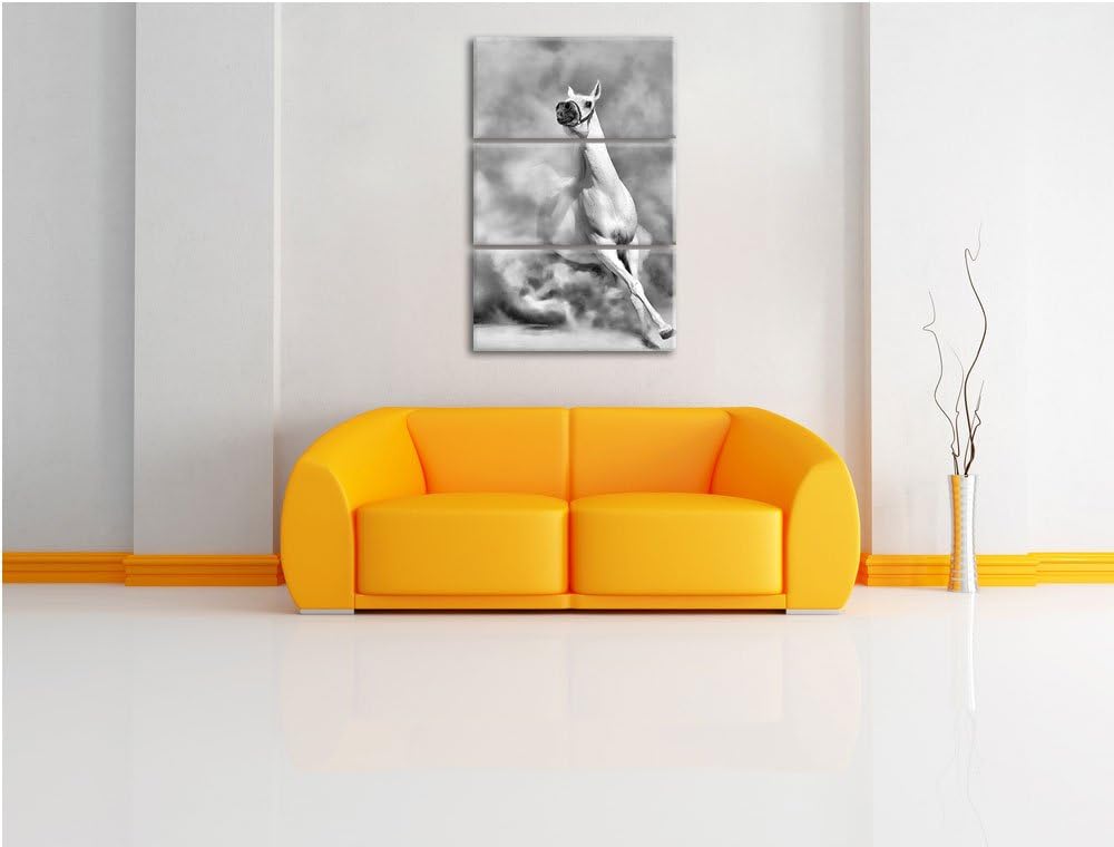 Pixxprint Weisses Pferd in der Wüste als Leinwandbild/Grösse: 3 Teilig (120x80) cm/Wandbild/Kunstdru