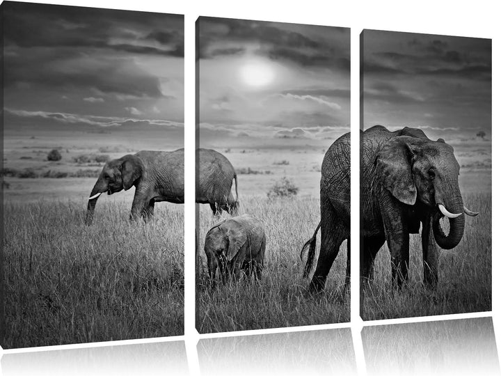 Pixxprint Elefanten bei Sonnenuntergang in der Savanne Kunst B&W 3-Teiler Leinwandbild 120x80 Bild a