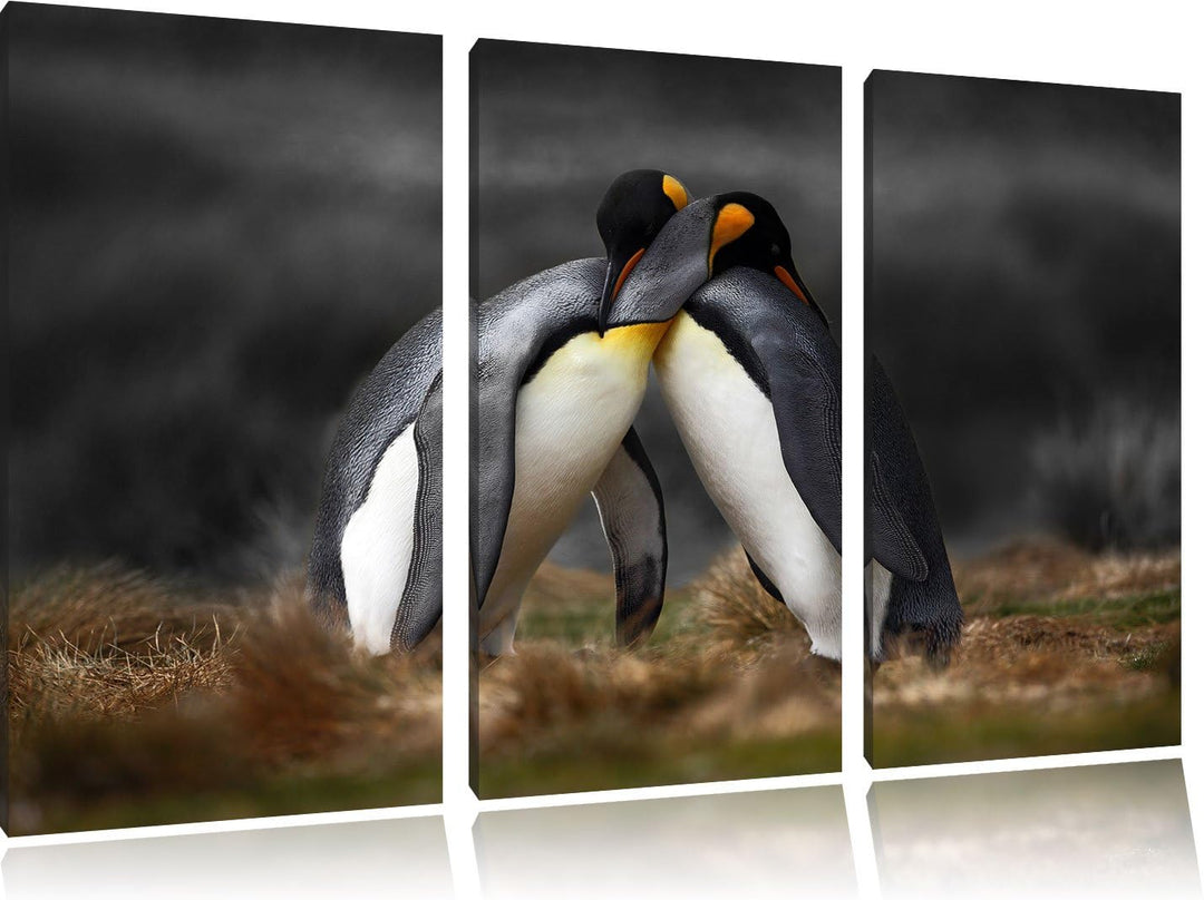 Pinguine in der Antarktis / 3-Teilig/Gesamtmass 120cm Leinwandbild bespannt auf Holzrahmen/Wandbild