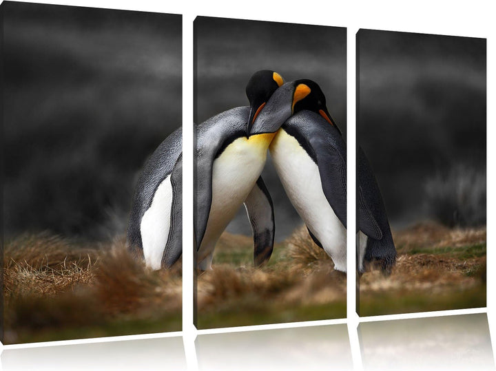 Pinguine in der Antarktis / 3-Teilig/Gesamtmass 120cm Leinwandbild bespannt auf Holzrahmen/Wandbild