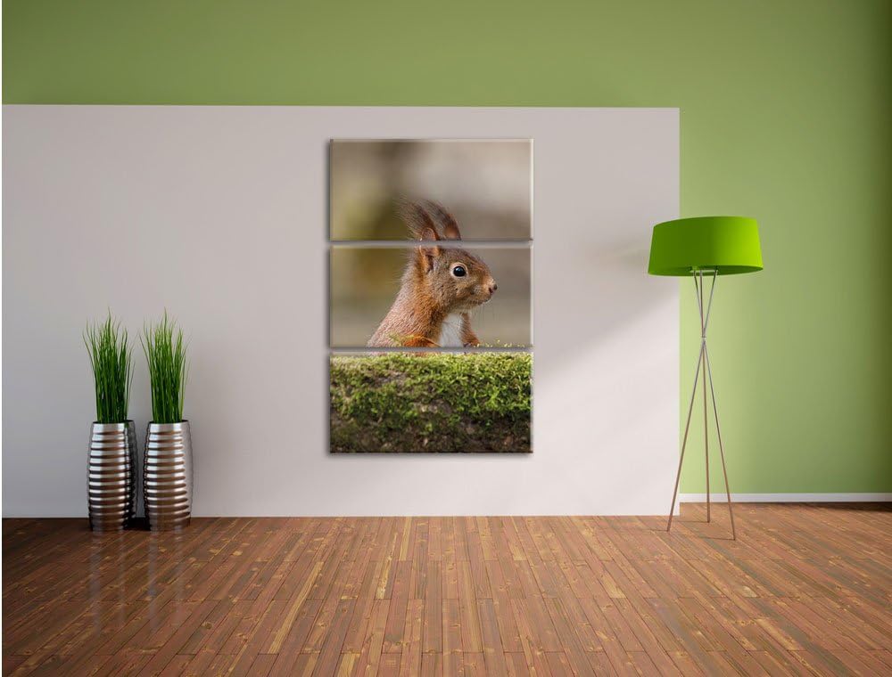 Pixxprint Eichhörnchen hinter Baumstamm als Leinwandbild/Grösse: 3 Teilig (120x80) cm/Wandbild/Kunst
