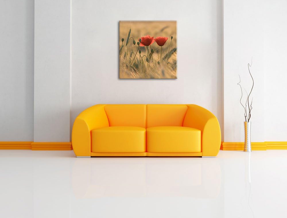 Zwei schöne Mohnblumen, Format: 70x70 auf Leinwand, XXL riesige Bilder fertig gerahmt mit Keilrahmen