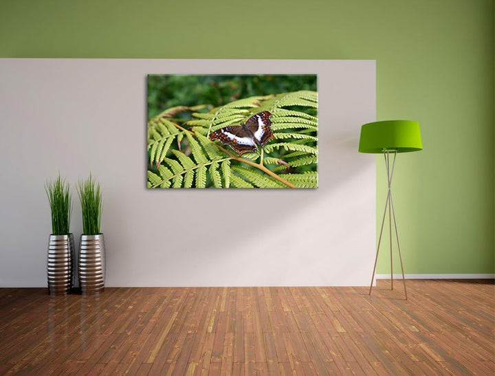zarter Schmetterling auf Farnblatt auf Leinwand, XXL riesige Bilder fertig gerahmt mit Keilrahmen, K