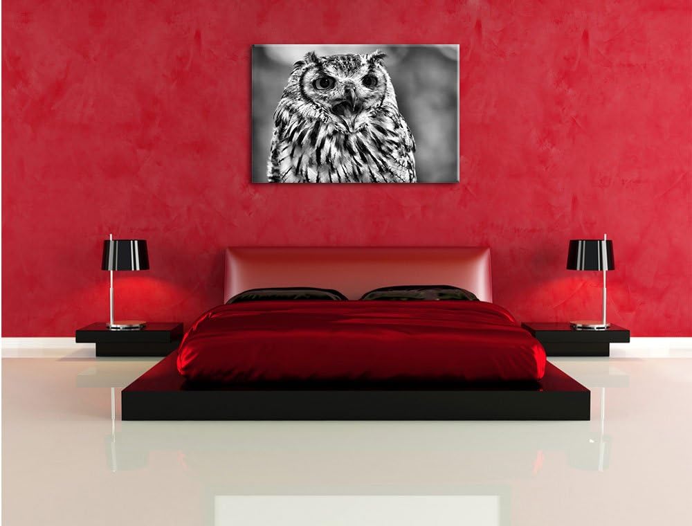 Pixxprint grosse Waldeule gähnt als Leinwandbild/Grösse: 100x70 / Wandbild/Kunstdruck/fertig bespann